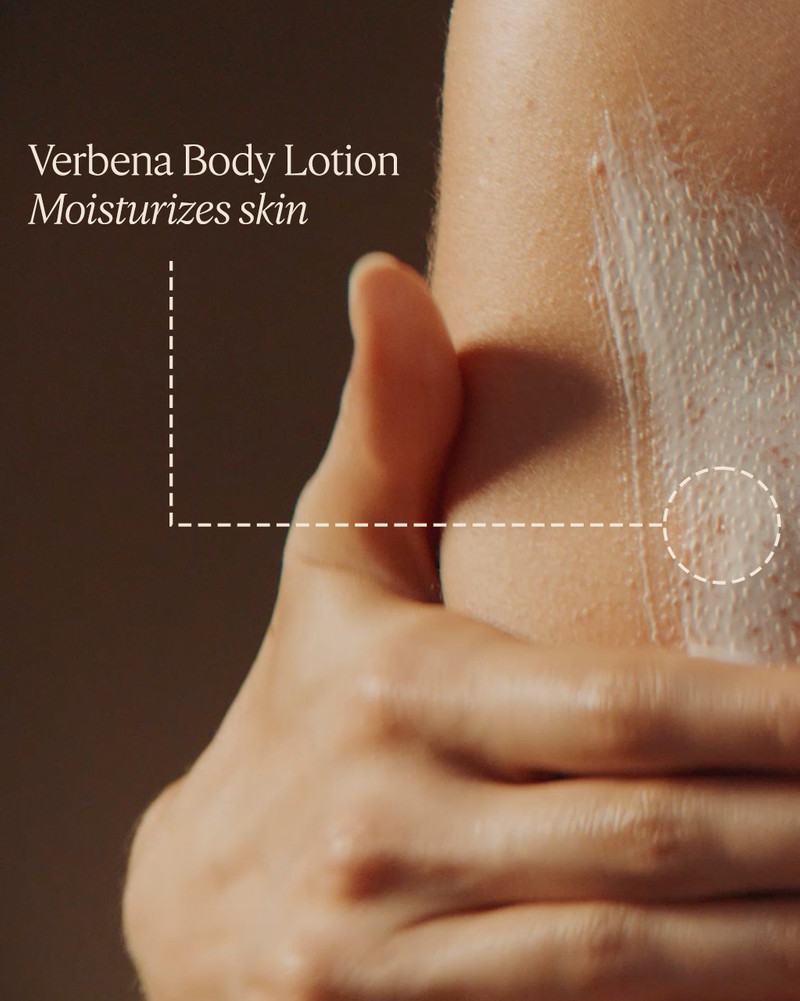 Verbena Collection 6