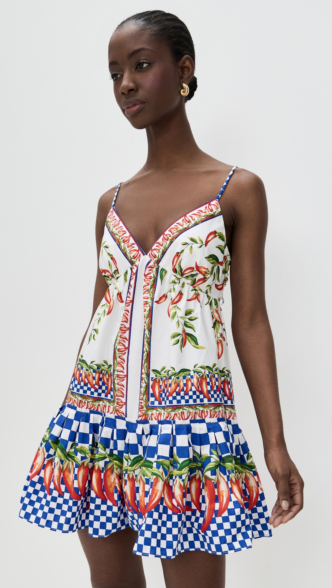 Picnic Peppers Ainika Mini Dress - 6