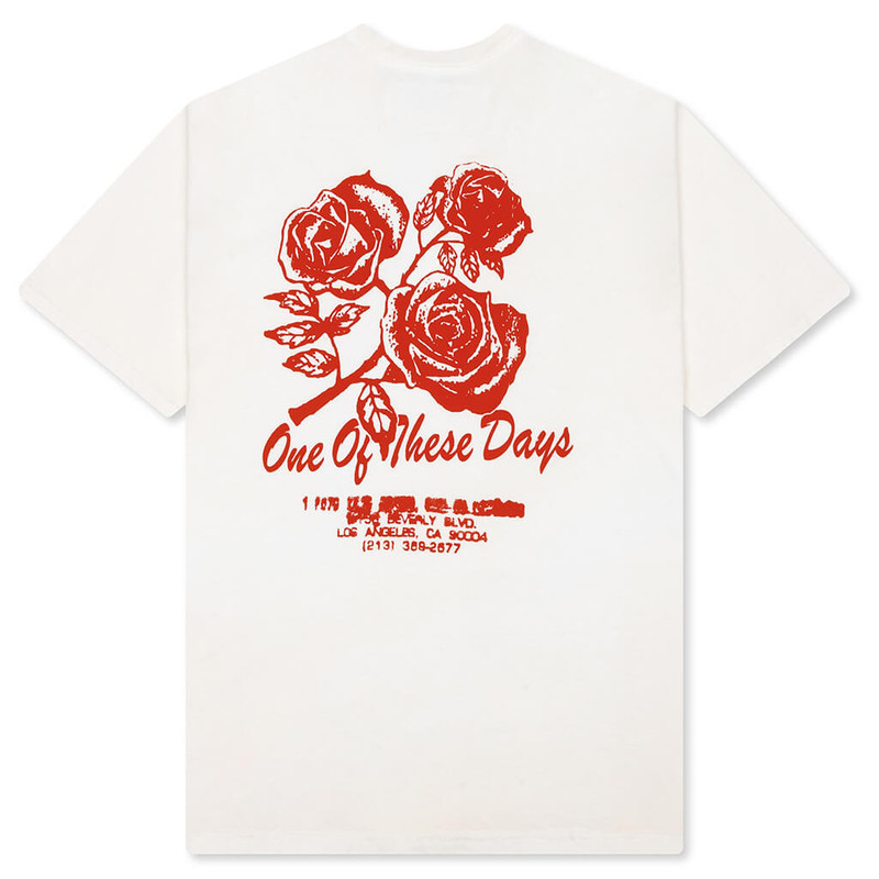 One Of These Days SWEET JANE T-SHIRT - BONE outlook