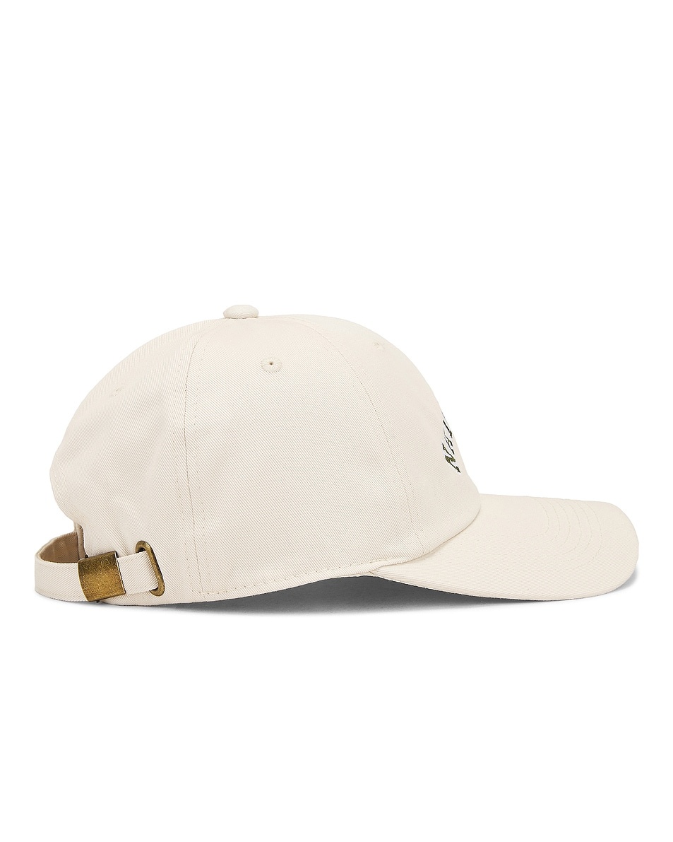 Naturalist Dad Hat - 3