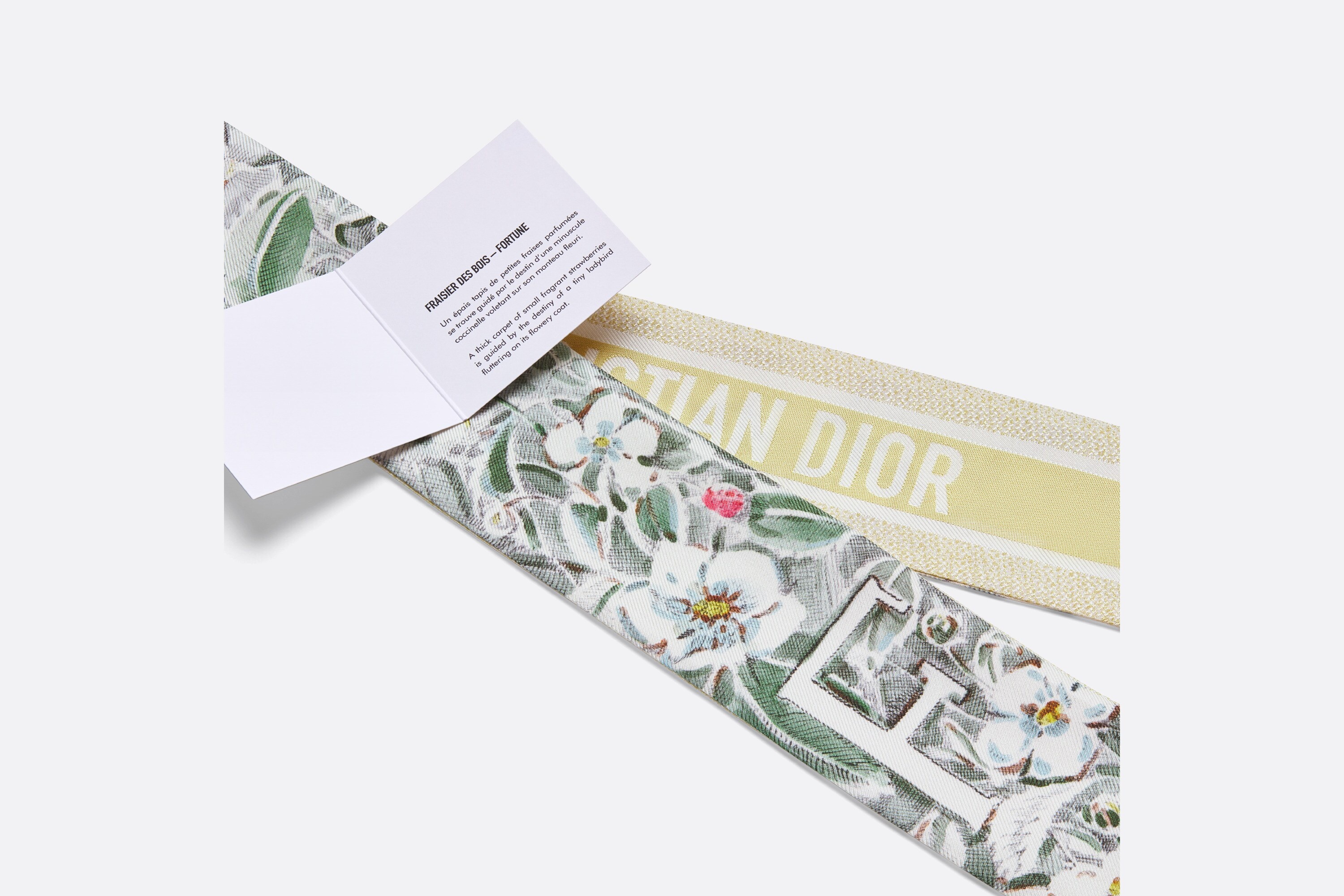 ABCDior F Fraisier des Bois - Fortune Mitzah Scarf - 5