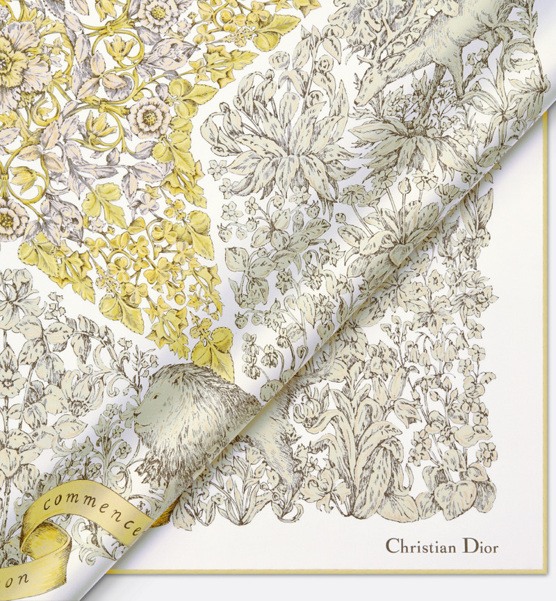 Dior Around the World 90 Square Scarf 4