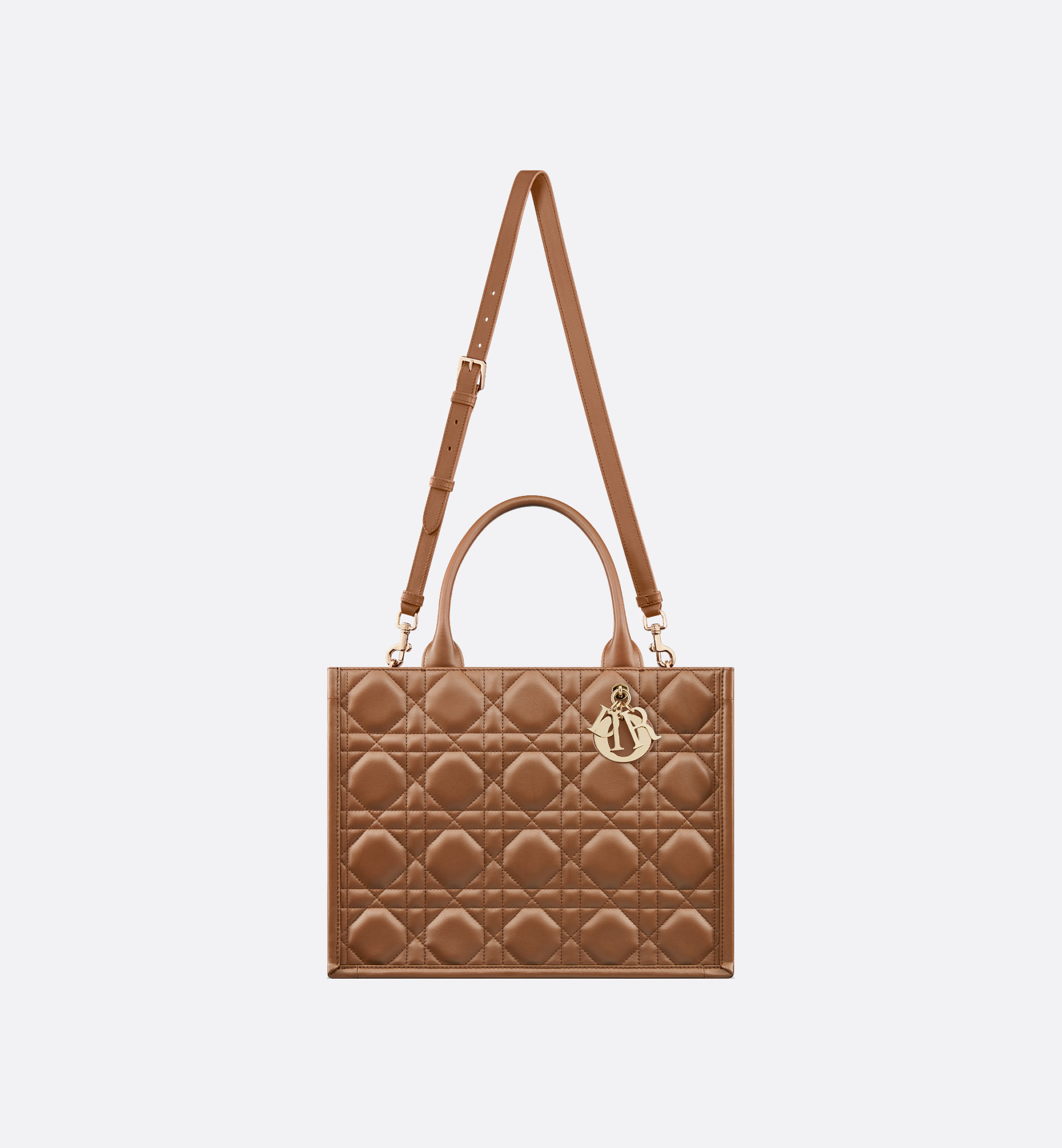 Medium Dior Book Tote - 5