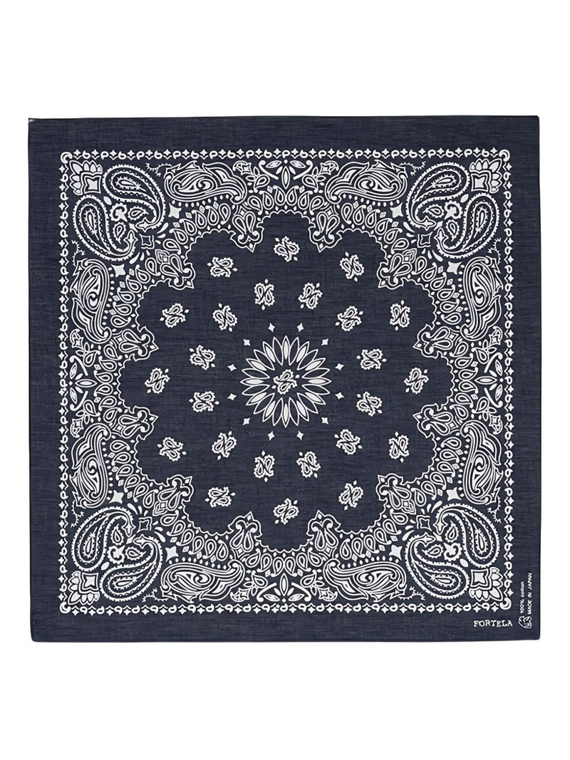 paisley bandana 1