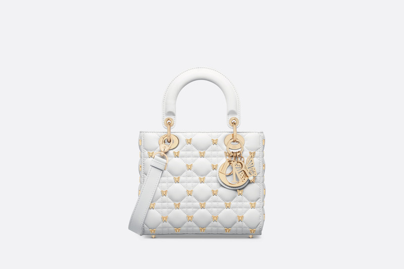 Small Lady Dior Bag 1