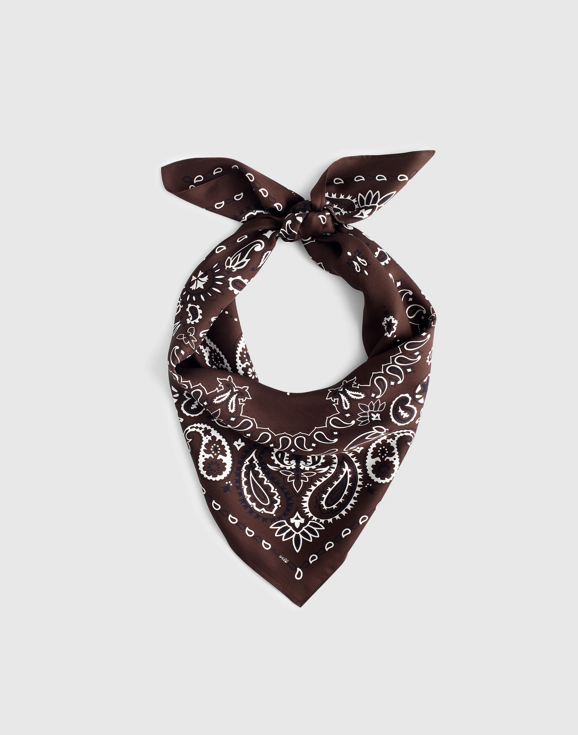 Medium Silk Bandana - 1