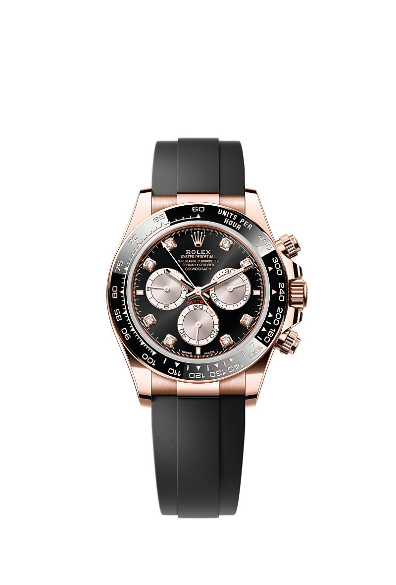 오이스터, 40mm, 에버로스 골드 1