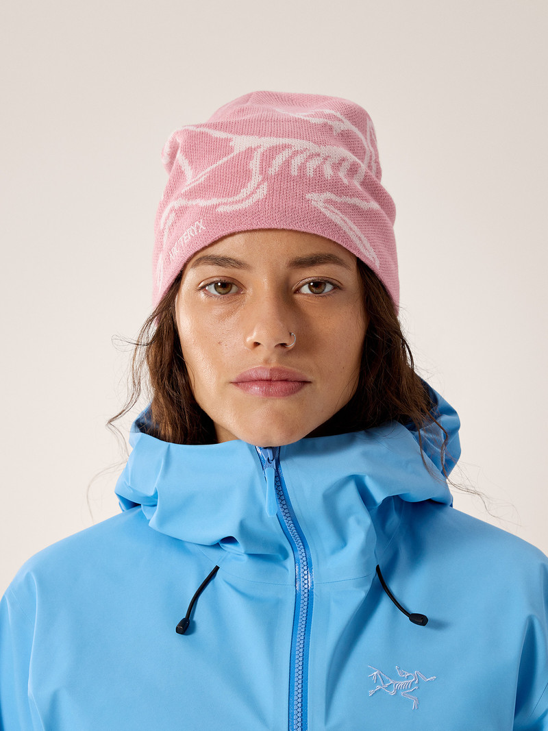 Arc'teryx Bird Head Toque outlook