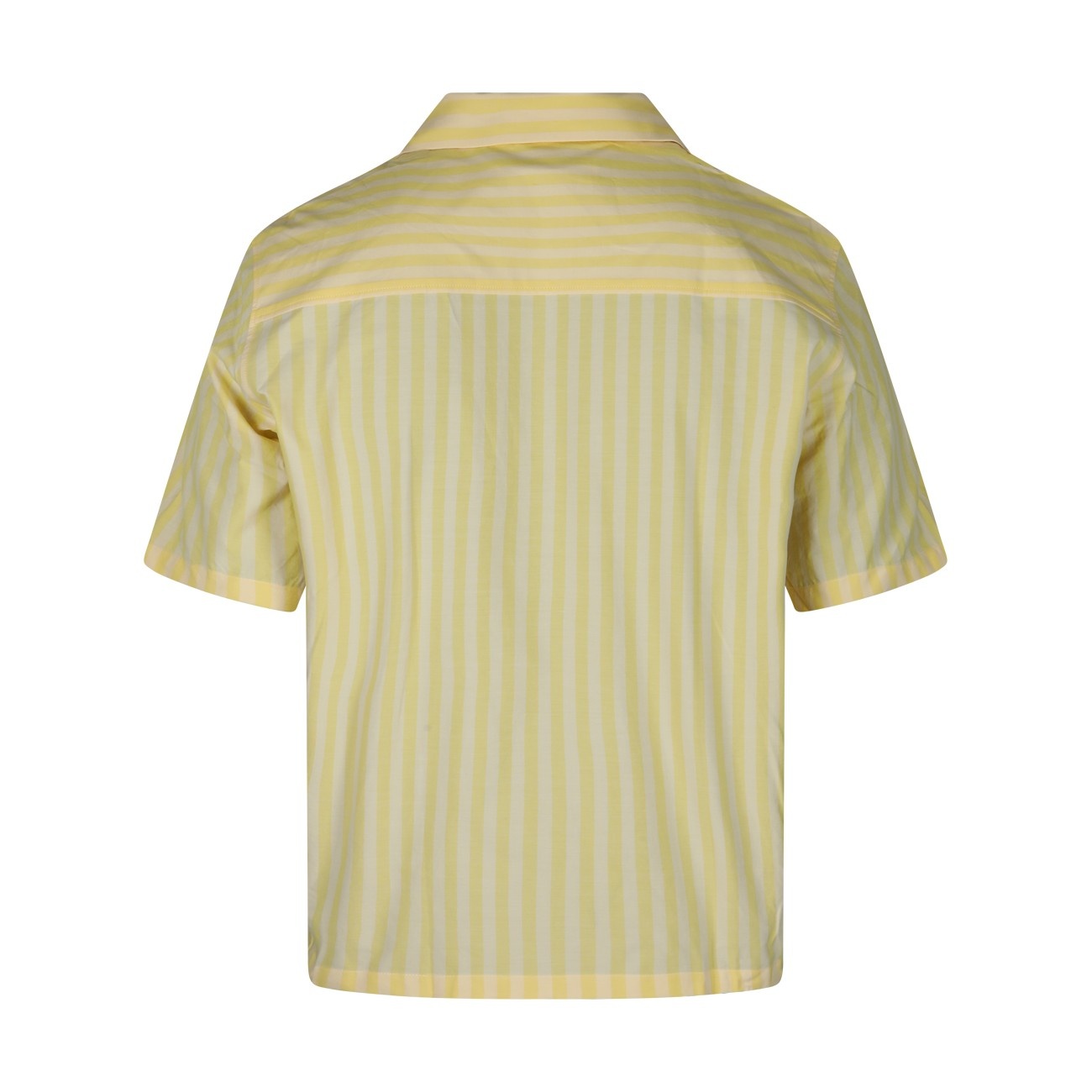 light yellow shirt - 2