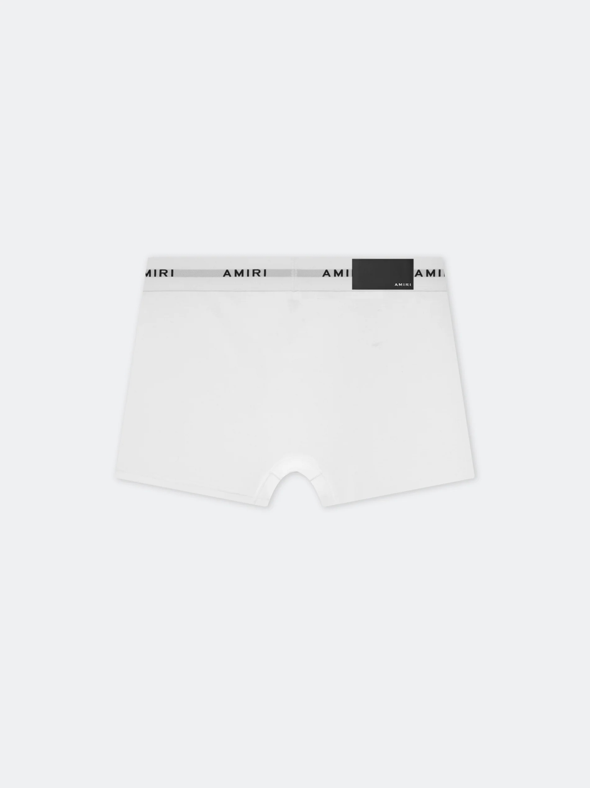 AMIRI BRIEF - 2