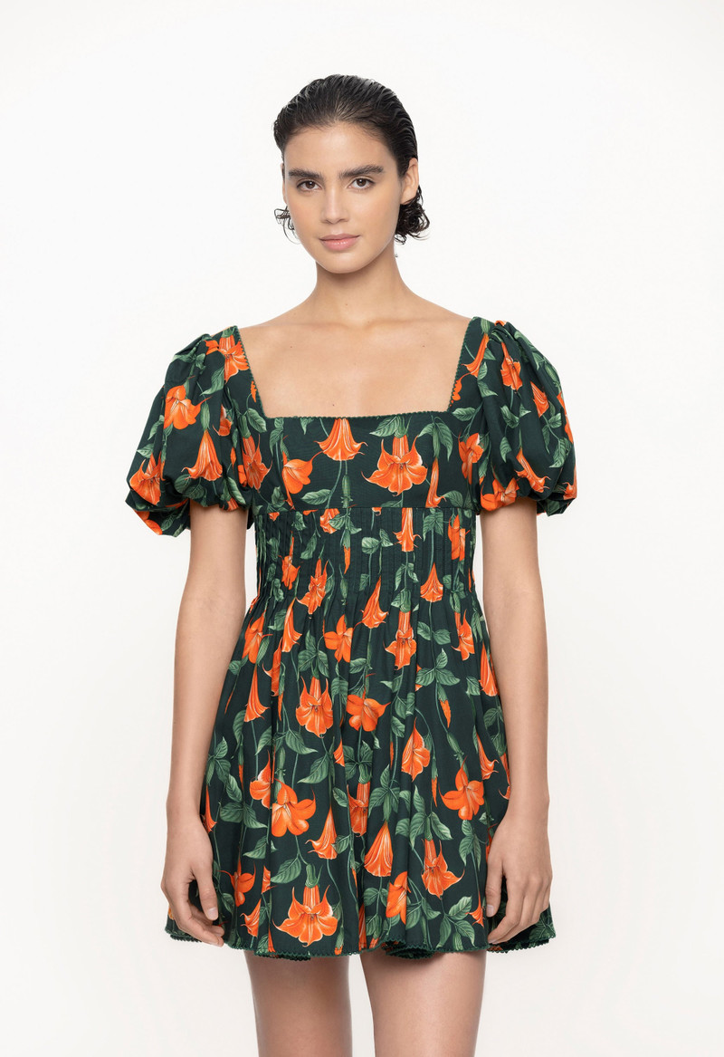 Caramelo Sabanero Nocturo Mini Dress 5