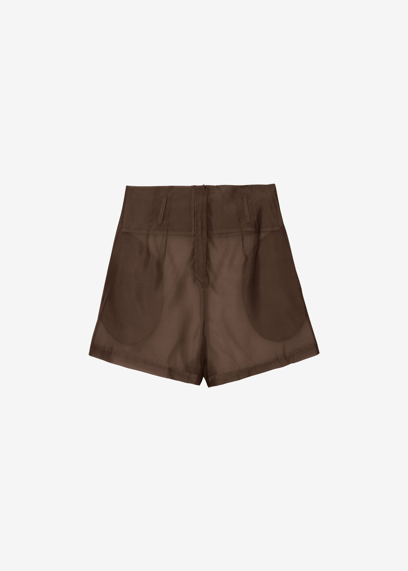Lise Sheer Shorts - Brown 1