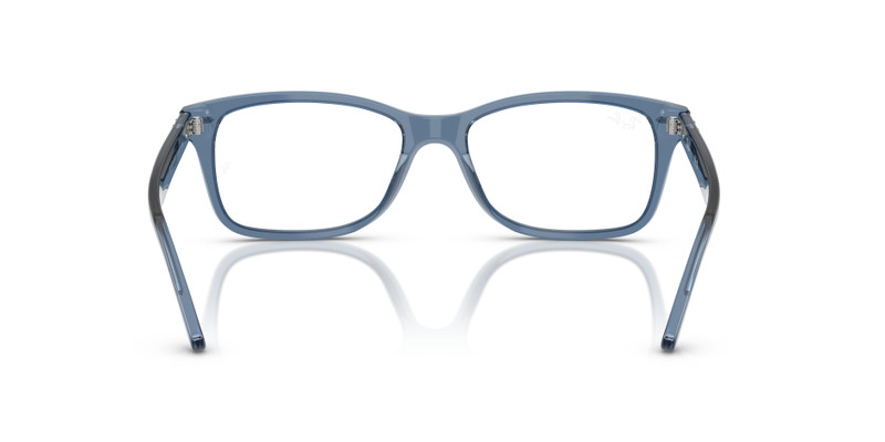 RB5428 OPTICS 6