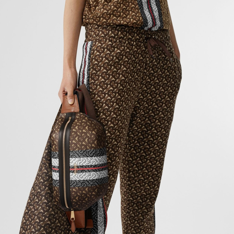 Medium Monogram Stripe E-canvas Bum Bag 3