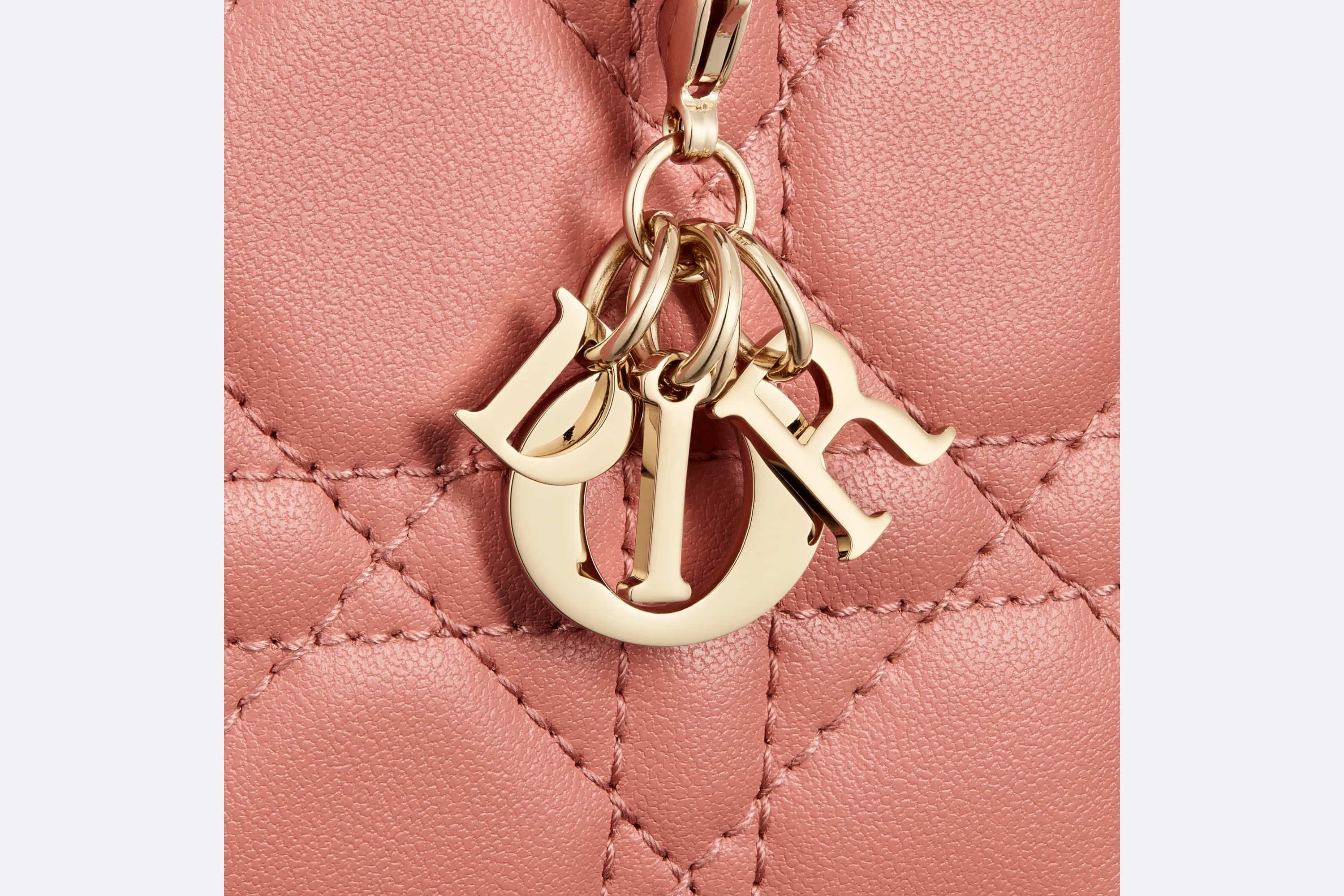 Small Lady Dior Voyageur Coin Purse - 5