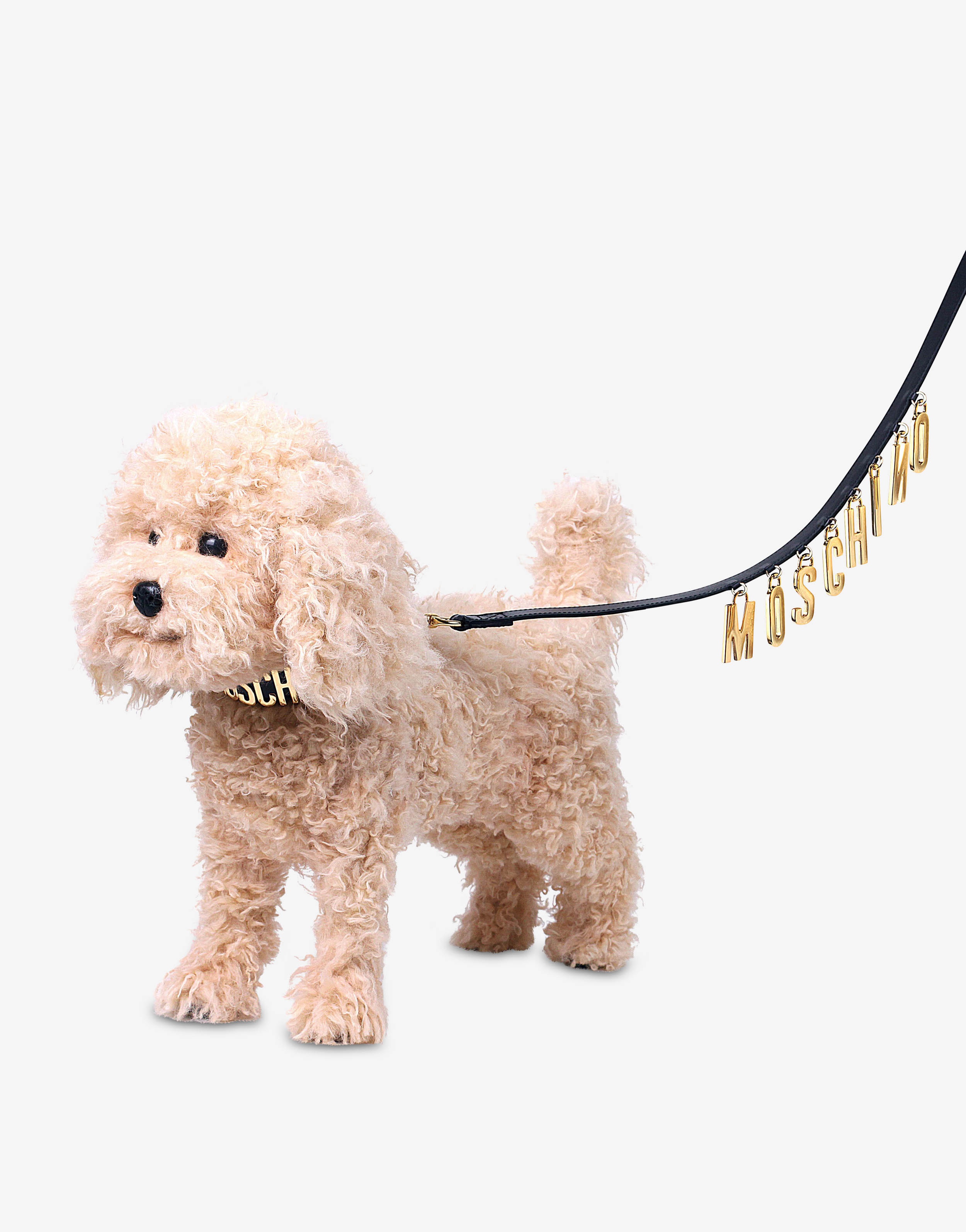 LETTERING CHARM DOG LEASH - 2