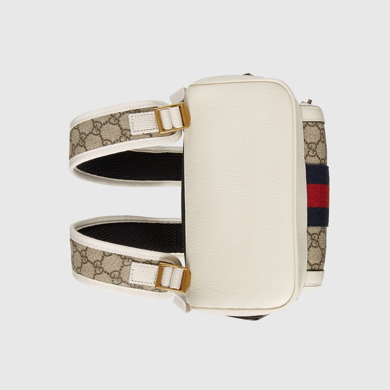 Ophidia GG Supreme backpack 13