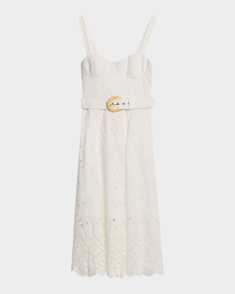 Calypso Embroidered A-Line Midi Dress 1