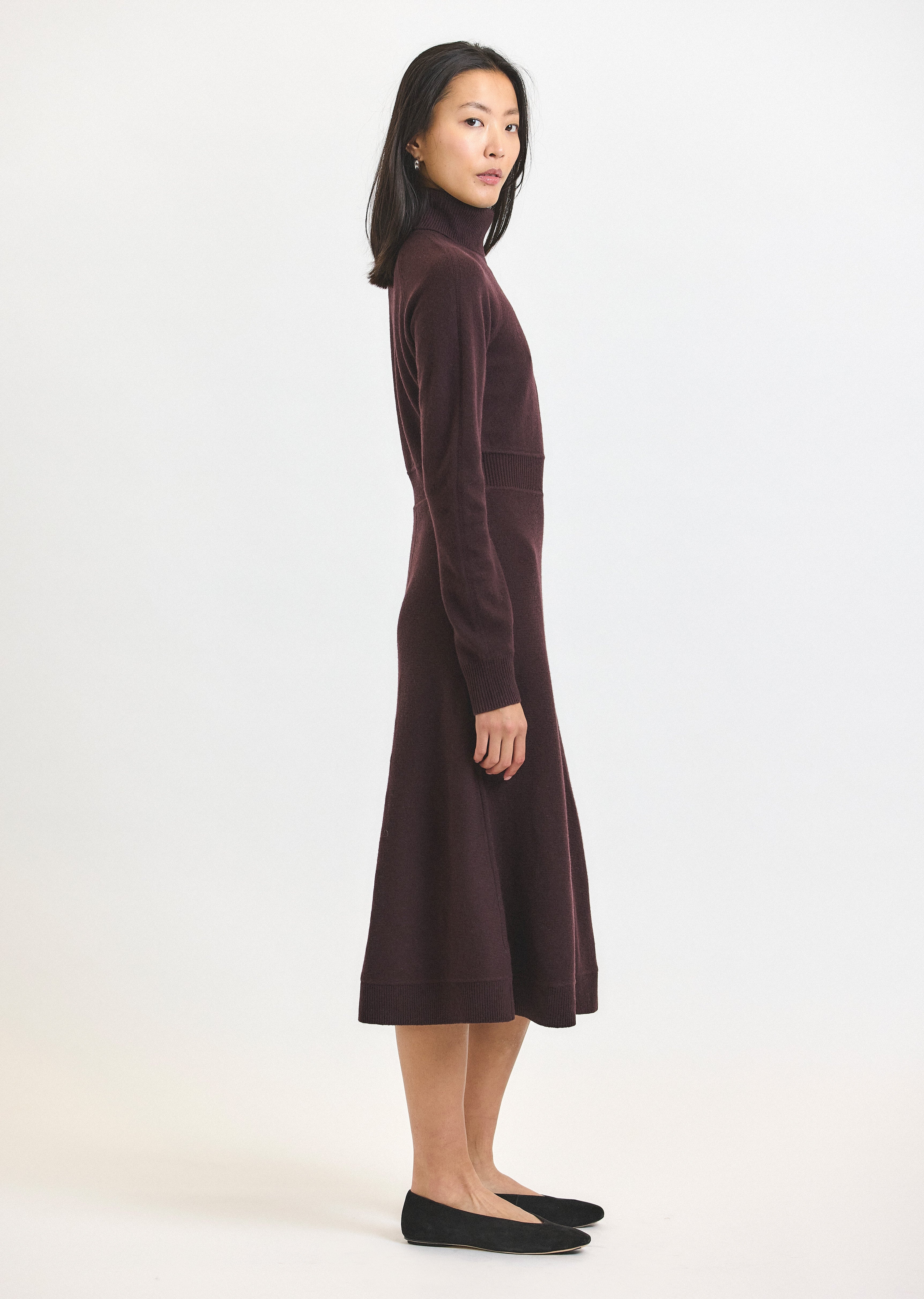 BETHANY LONG SLEEVE TURTLENECK DRESS - 3