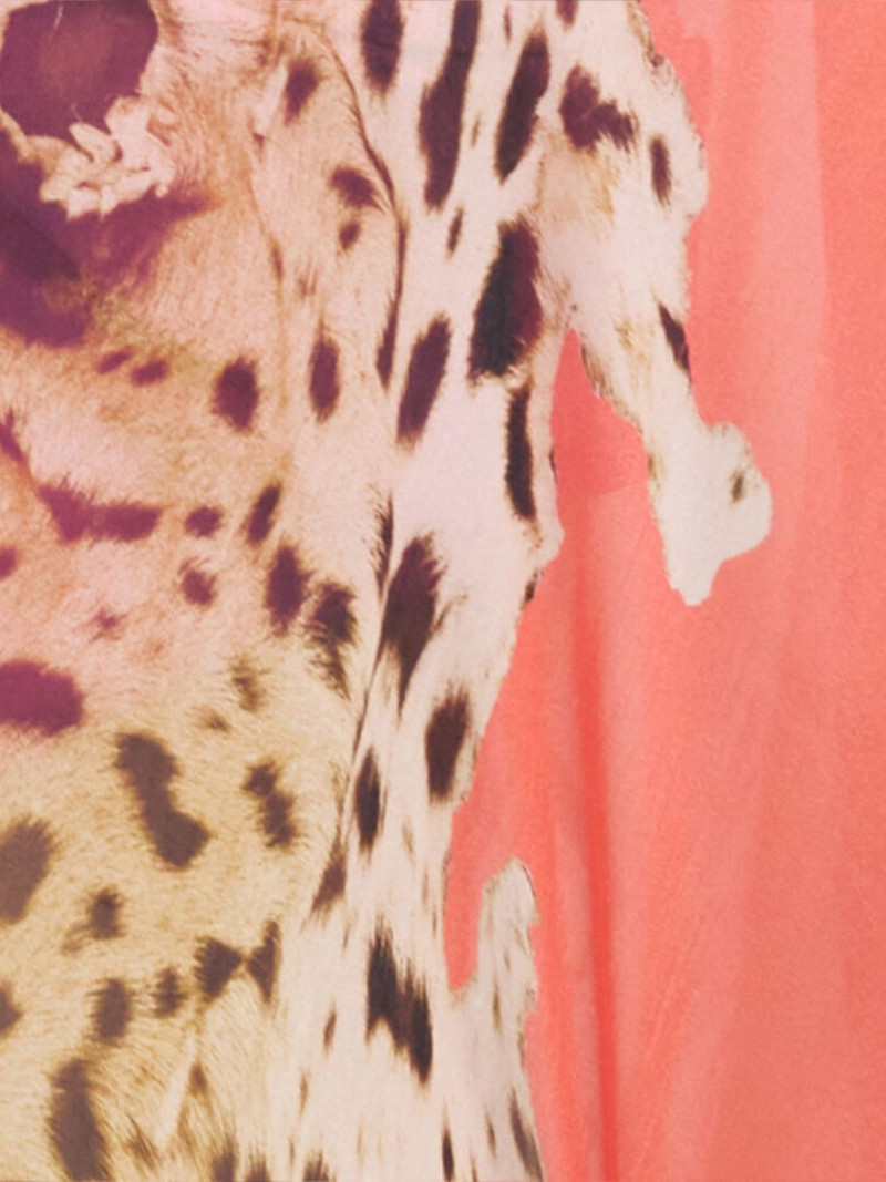 Roberto Cavalli leopard print belted beachwear outlook