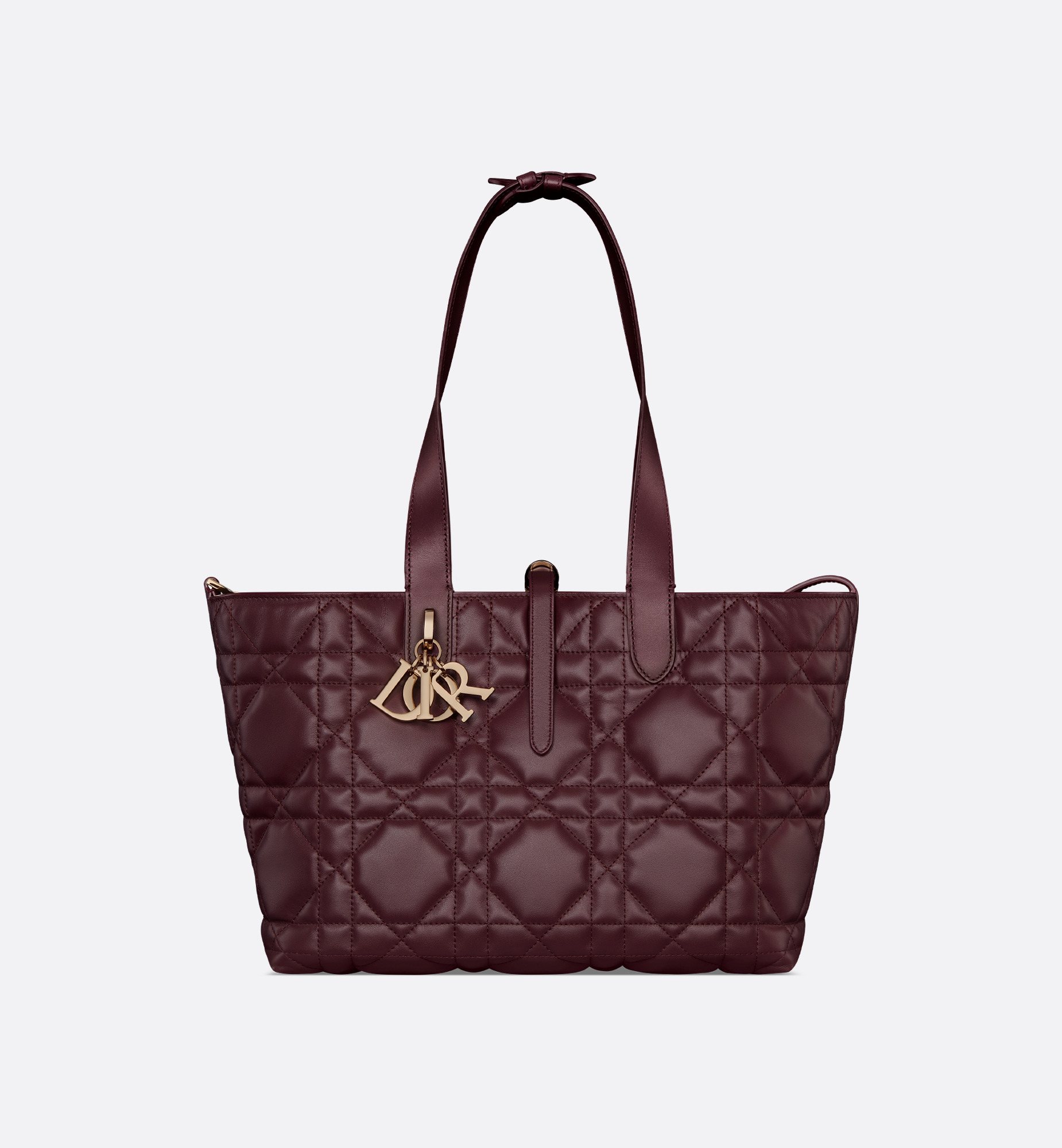 Medium Dior Toujours Bag - 5