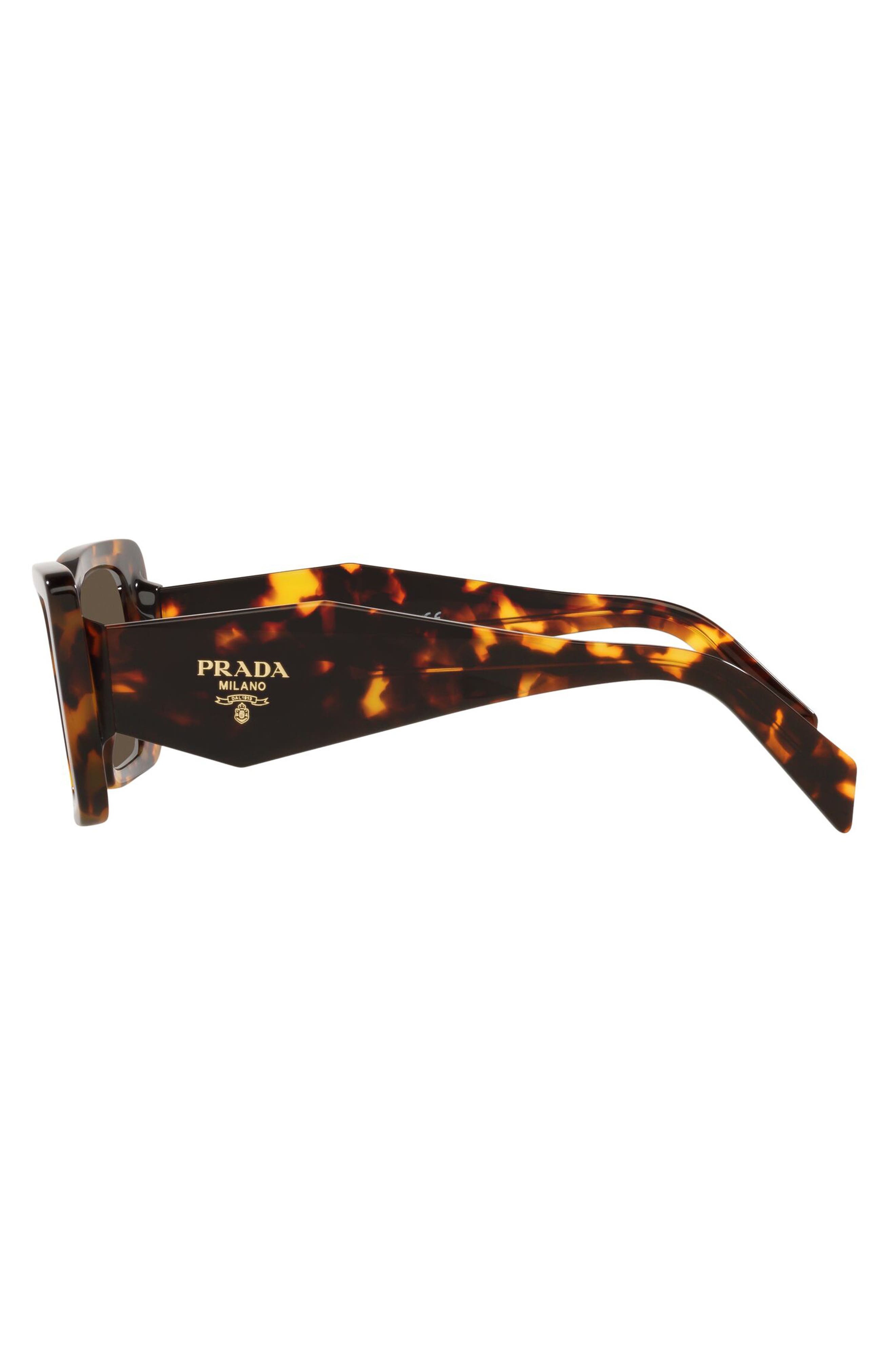 Prada 51mm Butterfly Sunglasses in Havana Honey/Dark Brown at Nordstrom - 3