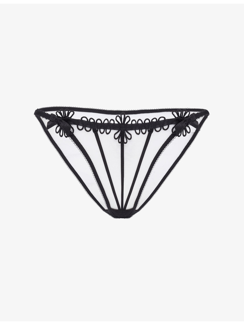 Coletta Tulle Briefs 1