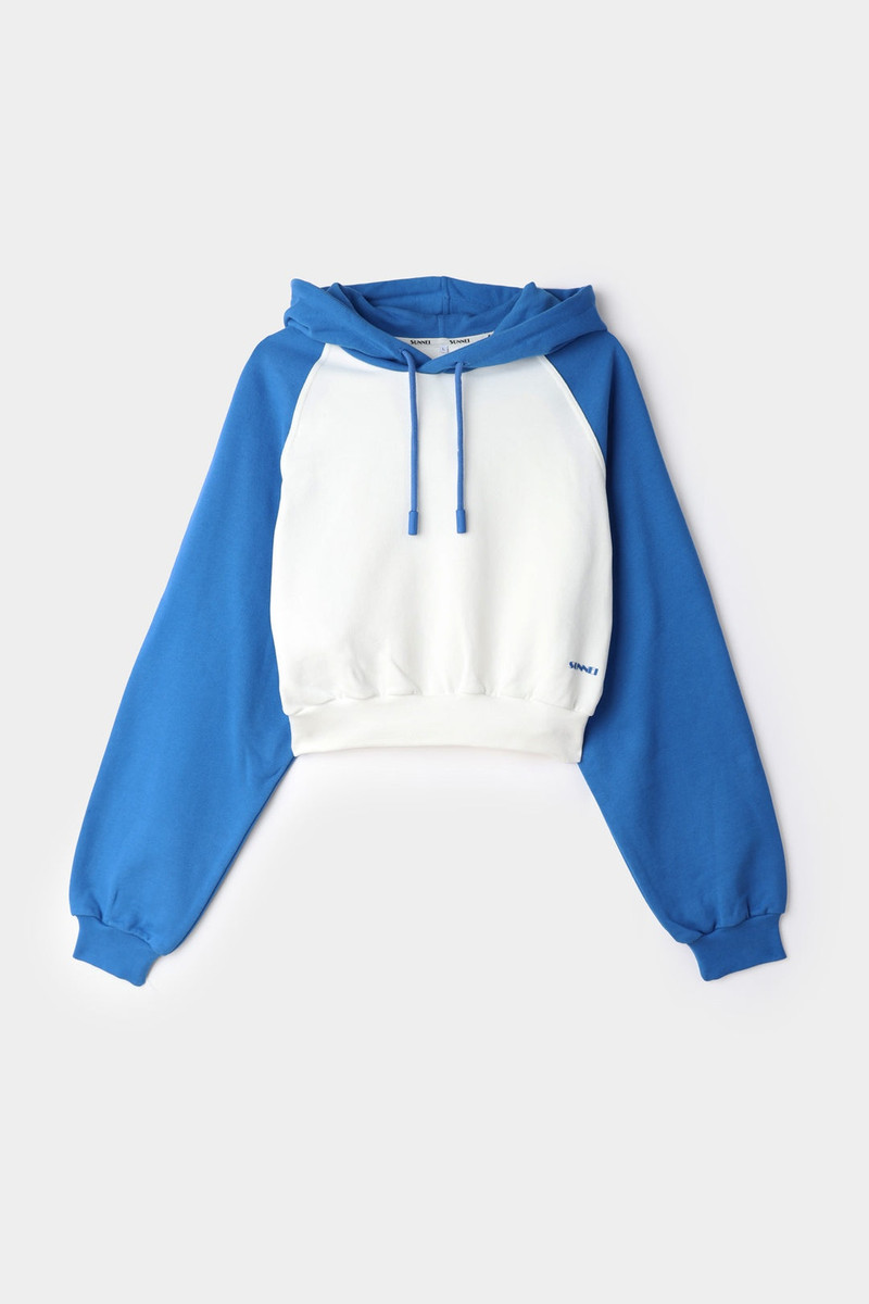 CROPPED HOODIE / dust & blue 1