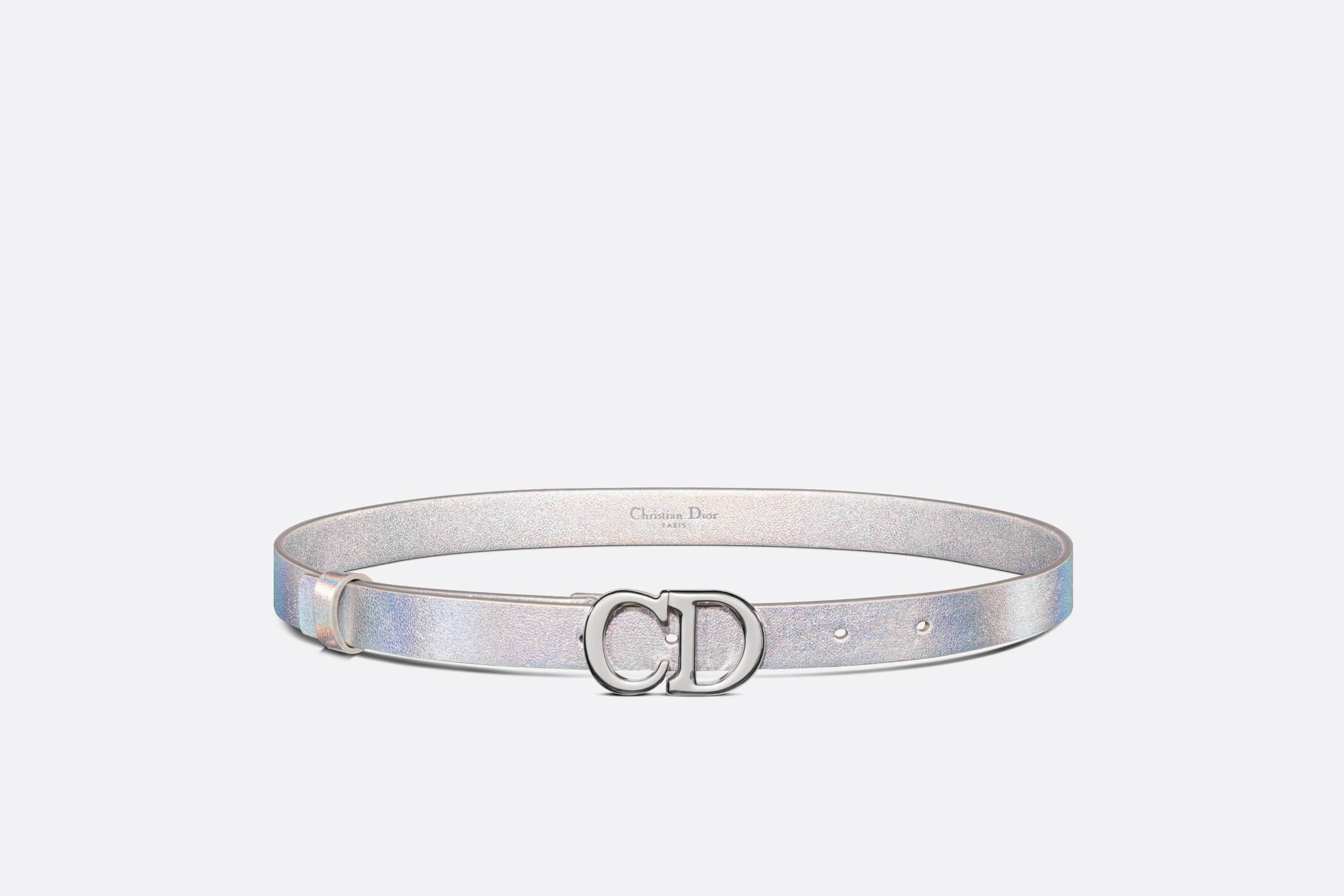 Dior Or Saddle Belt - 1