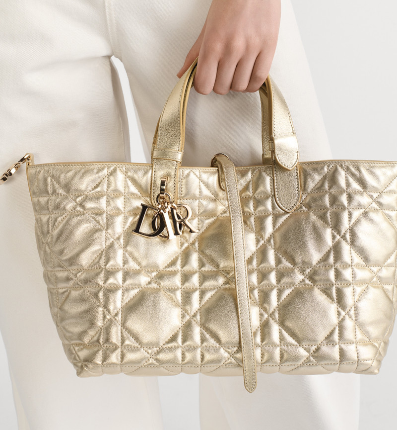Dior Medium Dior Toujours Bag outlook