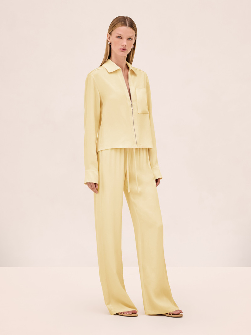 ALEXIS DAMIAN PANT outlook