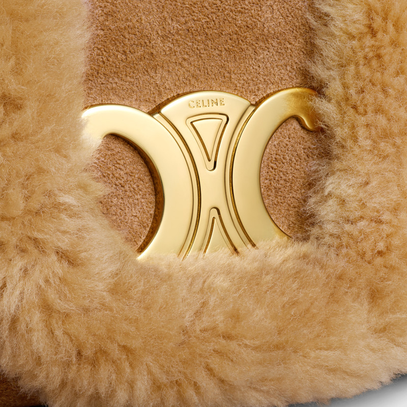 Medium Celine Victoire Bag in SUEDE CALFSKIN AND SHEARLING 5