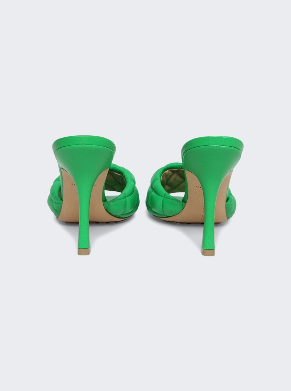 Padded Sandal Parakeet - 3