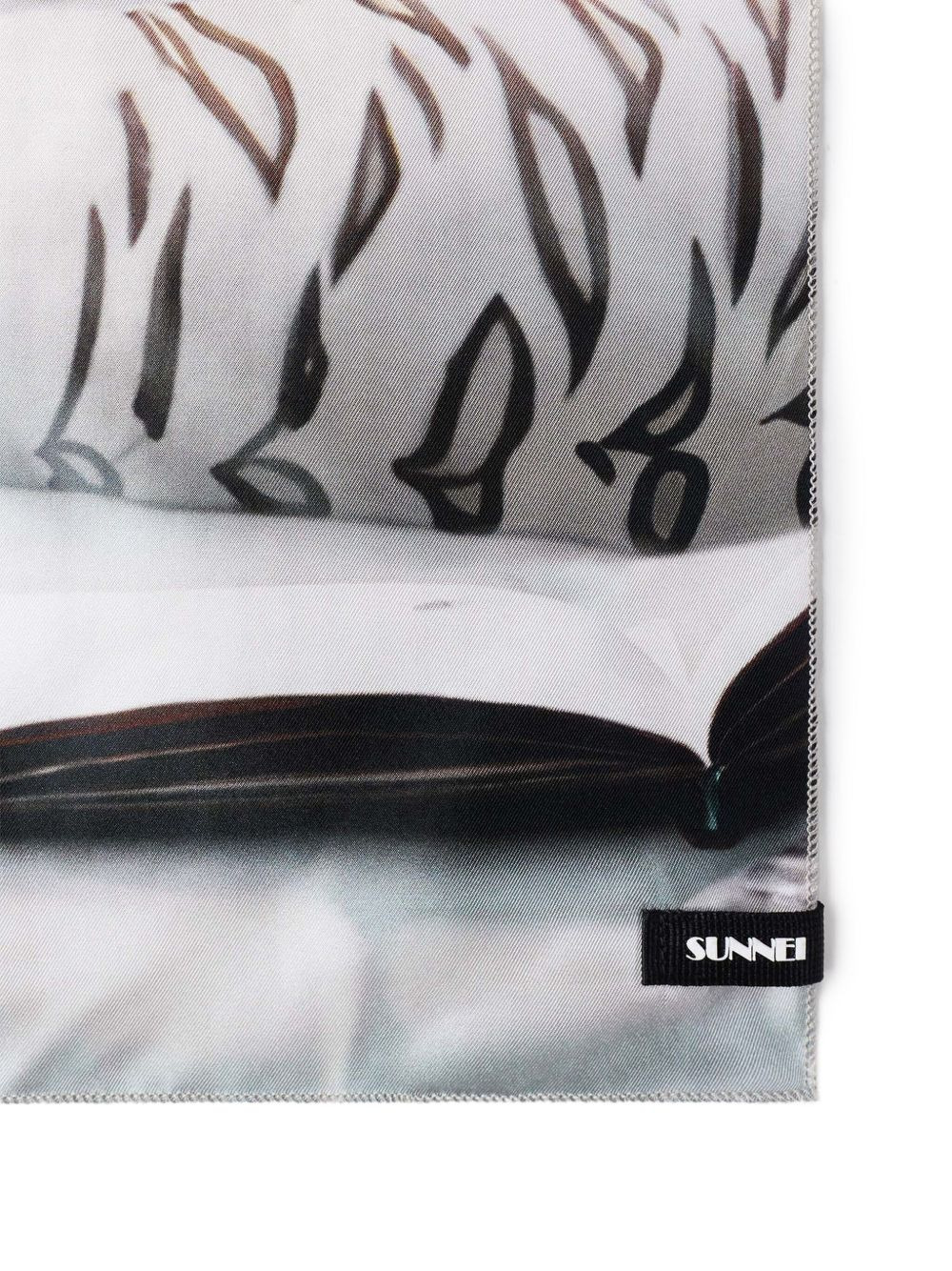Roselyne printed scarf - 2