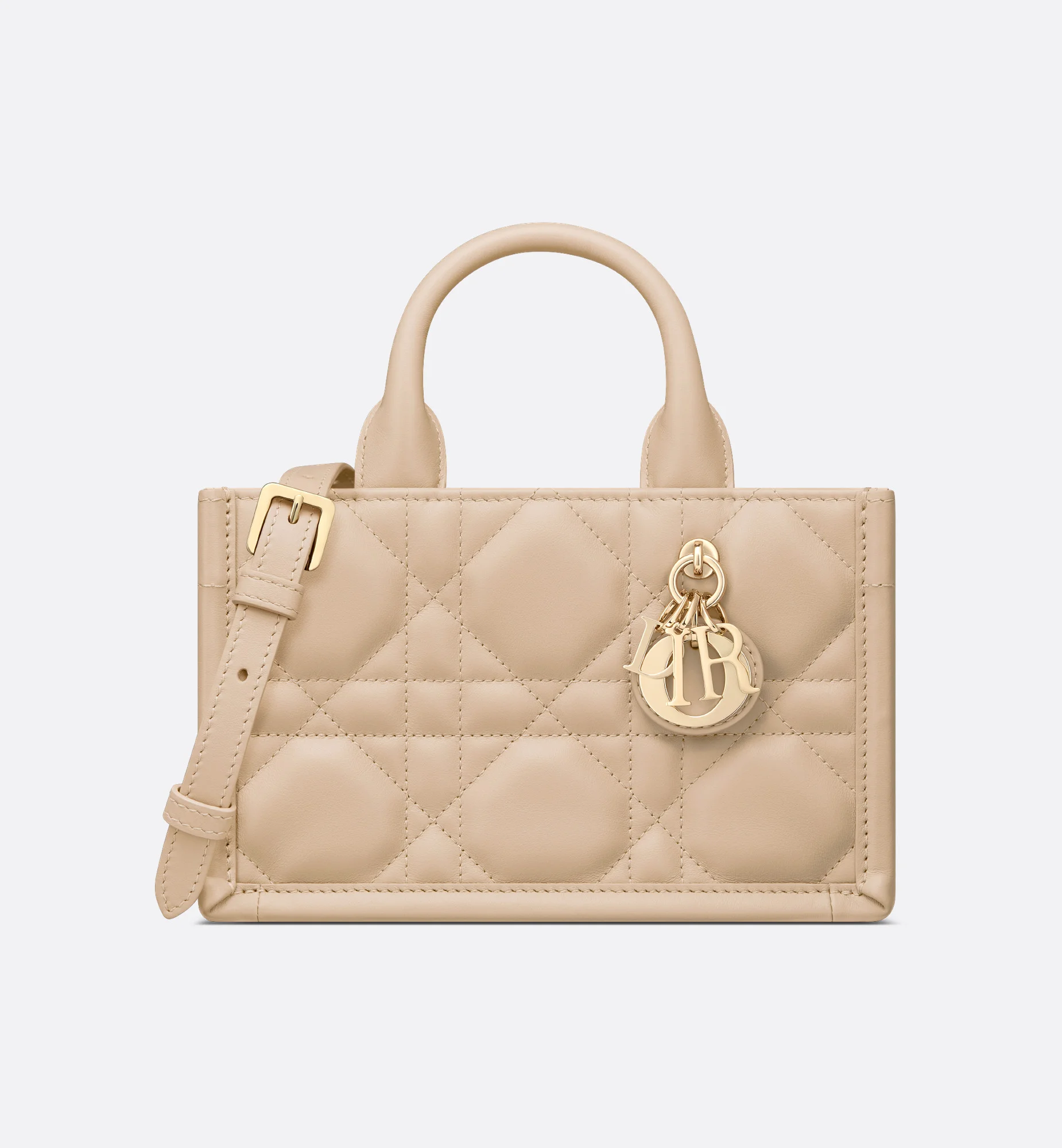 Mini Dior Book Tote - 1