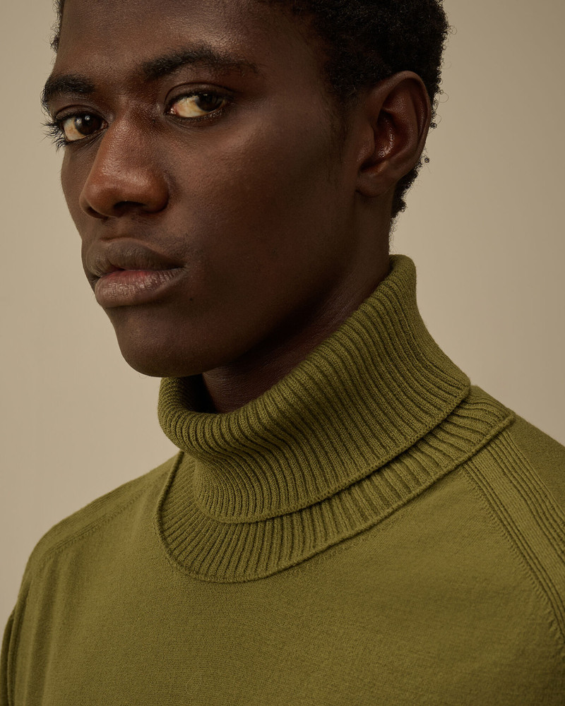 Extrafine Merino Wool Turtleneck Sweater 6