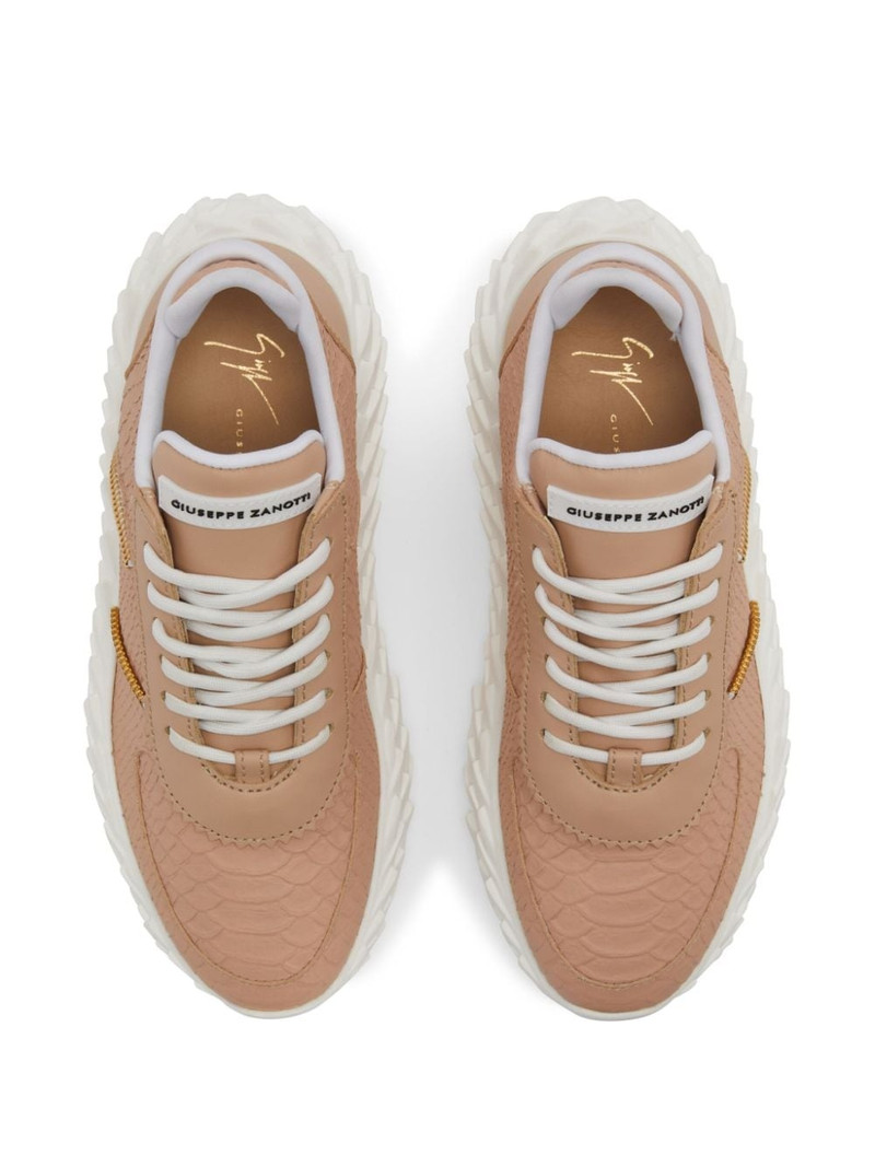 Urchin snakeskin-effect sneakers 4