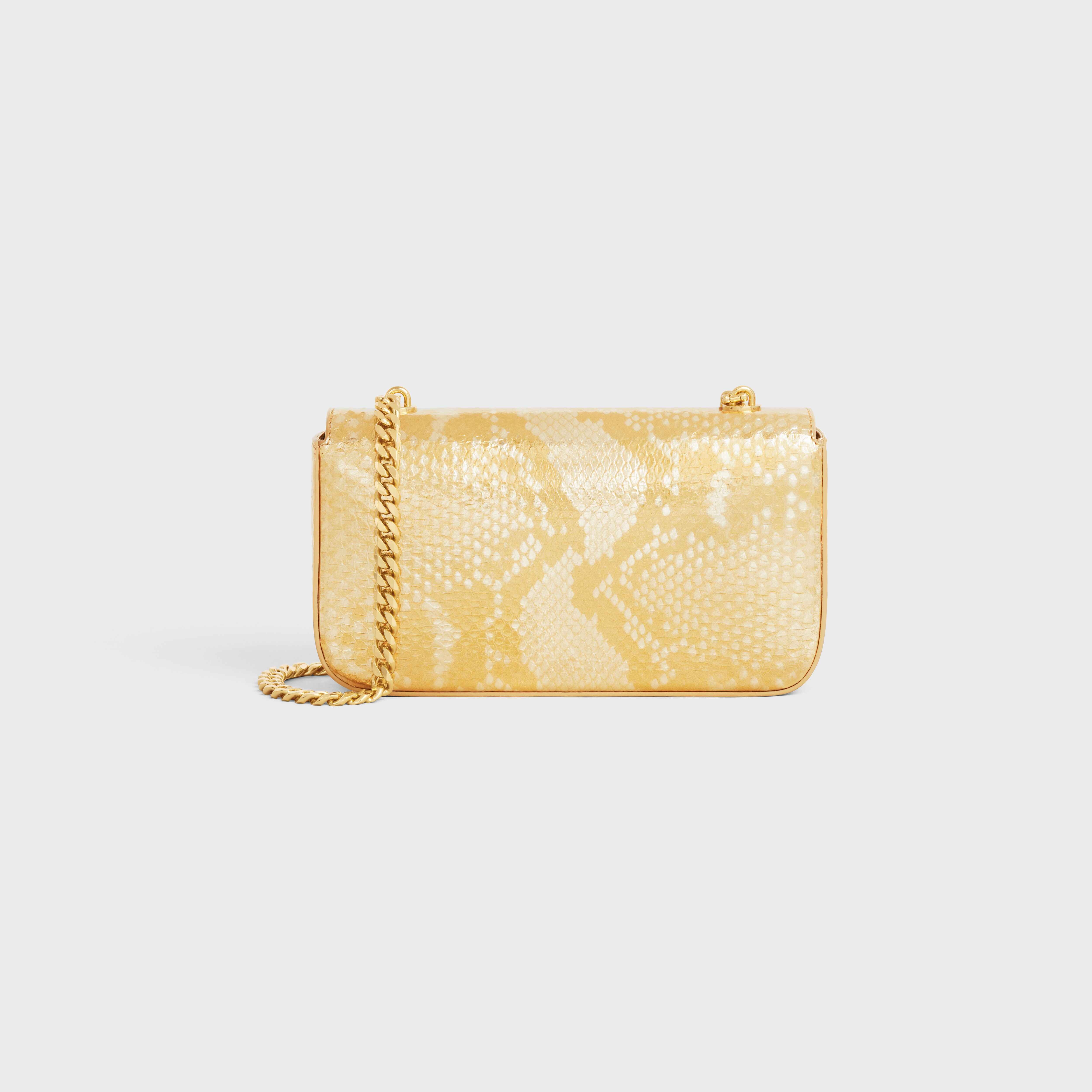 CHAIN SHOULDER BAG triomphe in PYTHON - 3