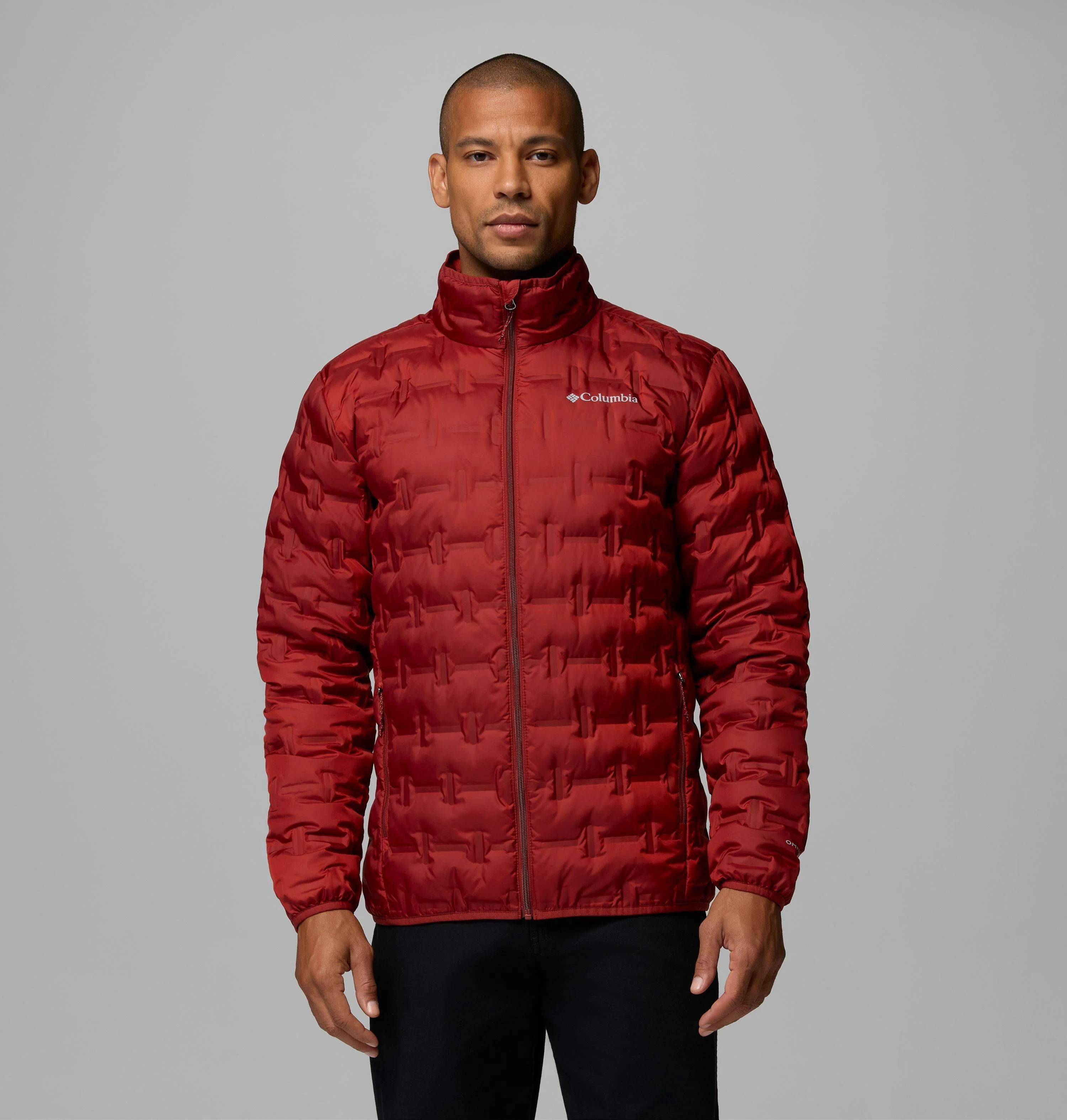 Men's Delta Ridge II Down Jacket - 1