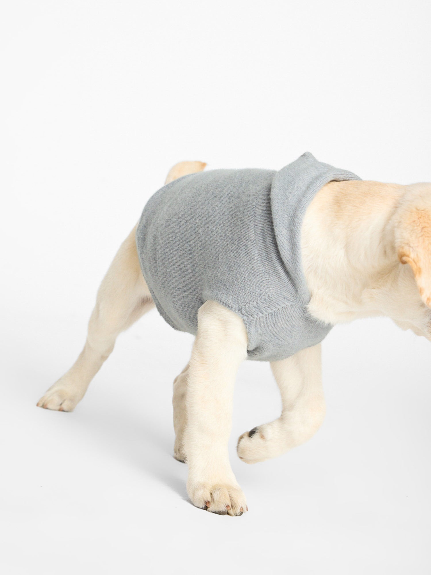 The Cashmere Dog Hoodie - 6