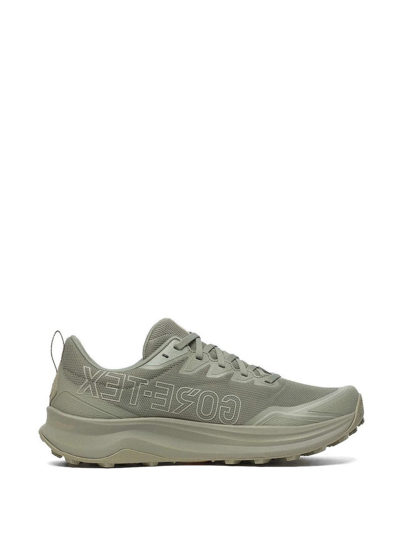 Peregrine 16 GTX low-top sneakers 1