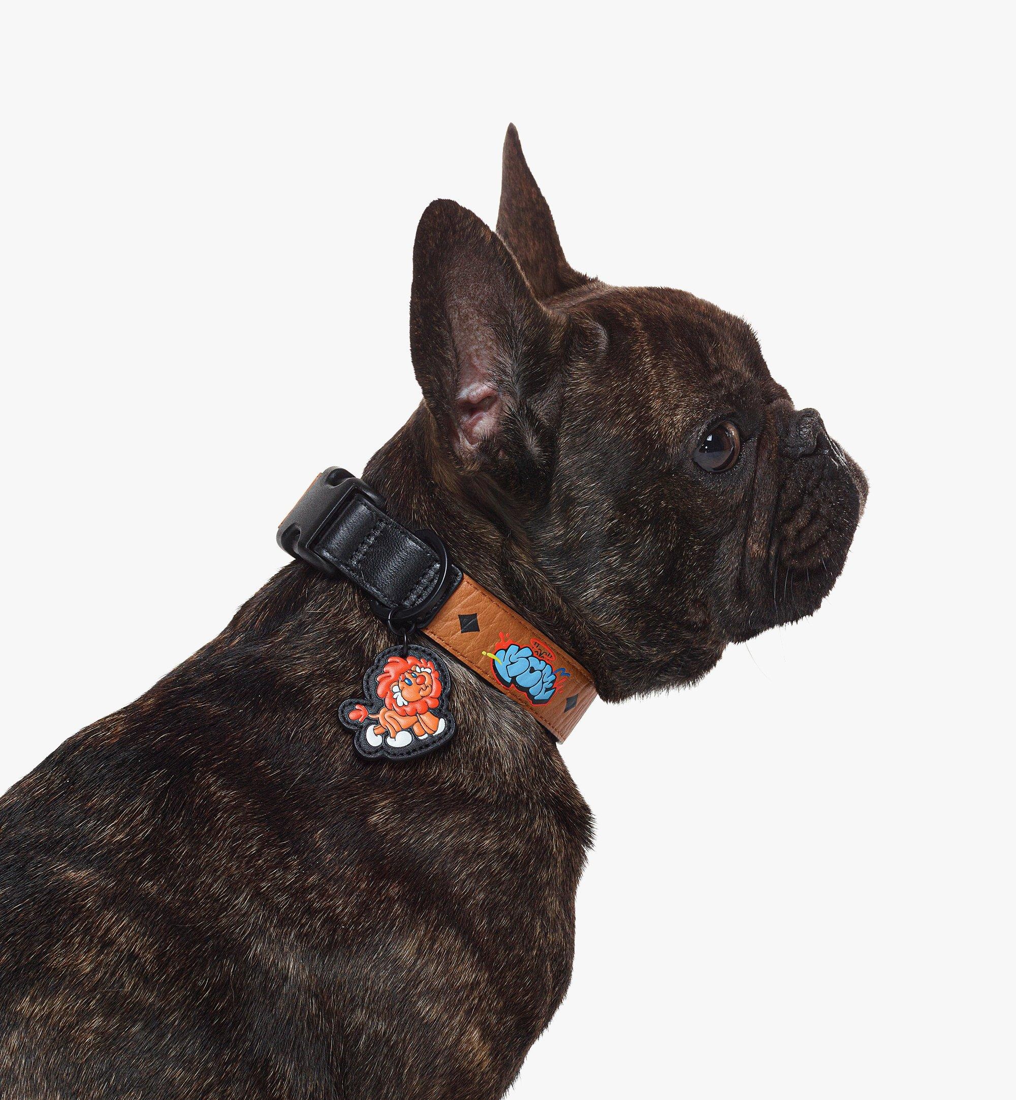 Haru, Henry, Kaiser Pet Collar in Visetos - 2