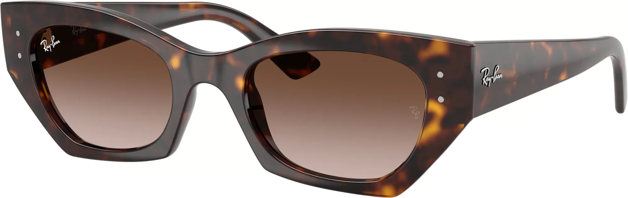 Ray-Ban Zena Sunglasses - 1