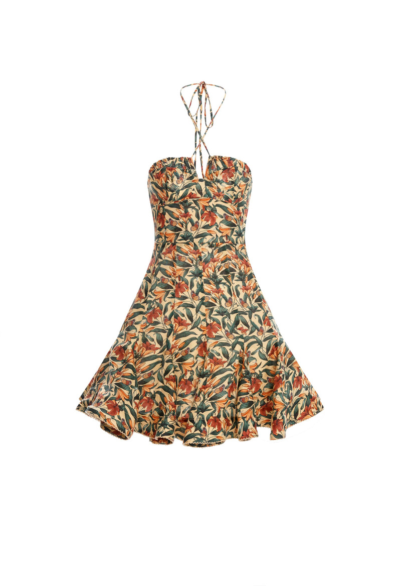 Anturio Monarca Mini Dress 1