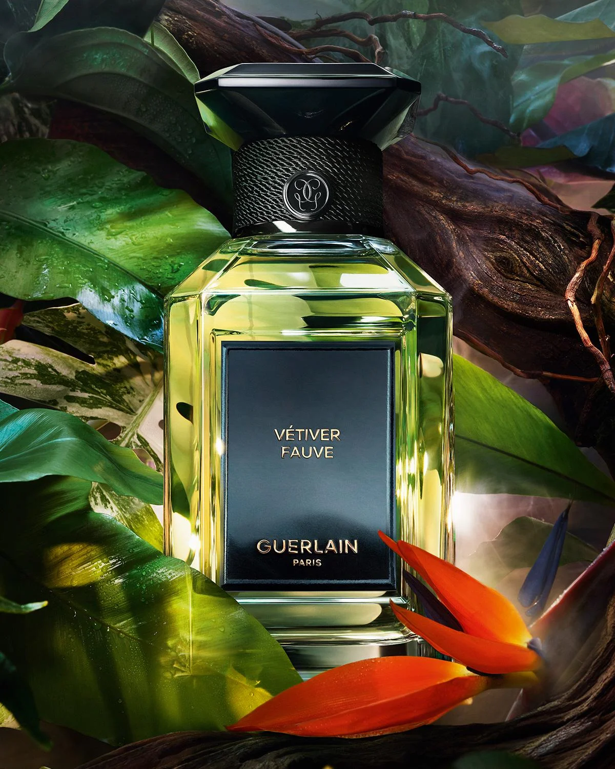 L'Art & La Matiere Vetiver Fauve Eau de Parfum - 1