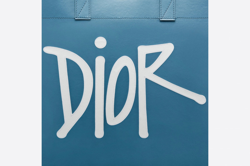 D-Dior Tote Bag 5