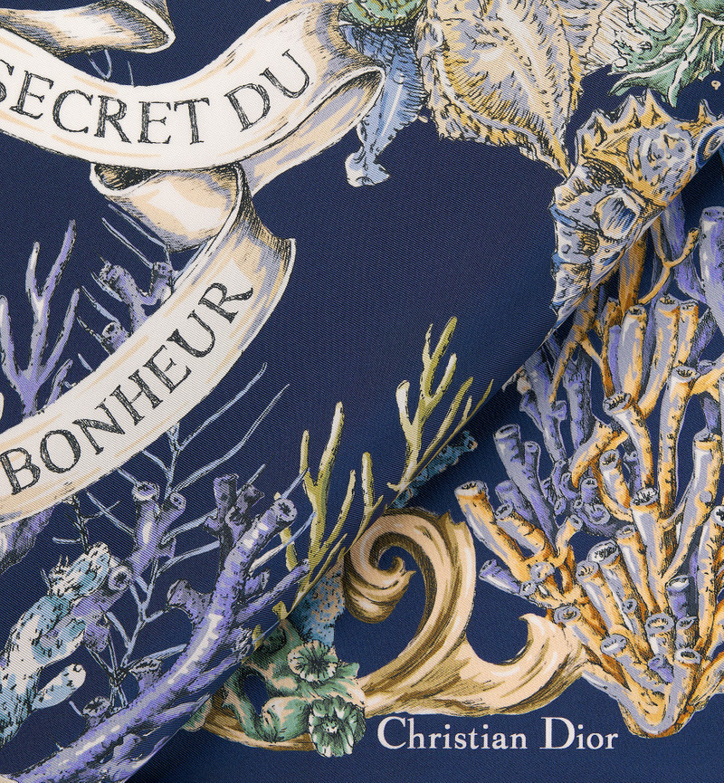 Dior Cabinet de la Mer 90 Square Scarf 4