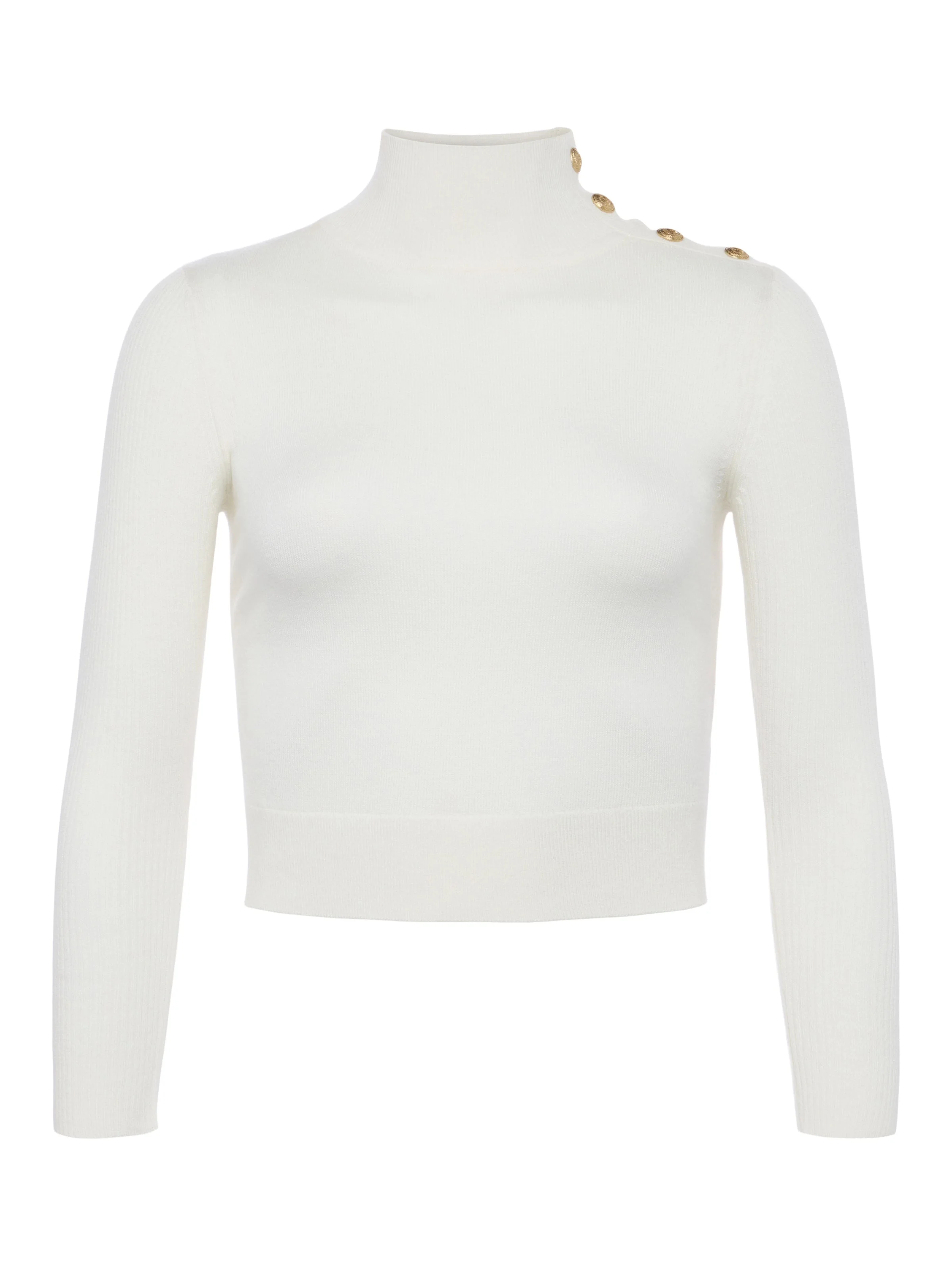 Kamdyn Cropped Turtleneck - 1