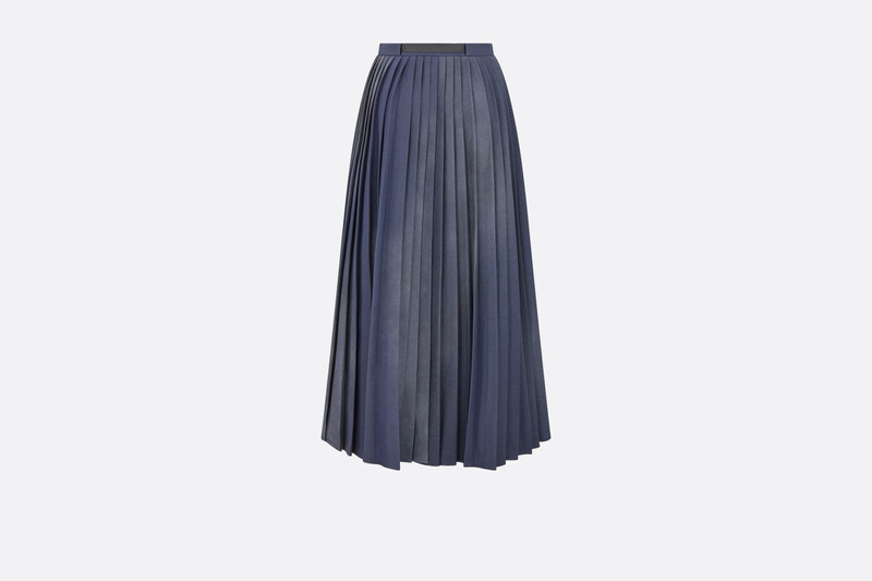 Dior Asymmetric Pleated Skirt outlook