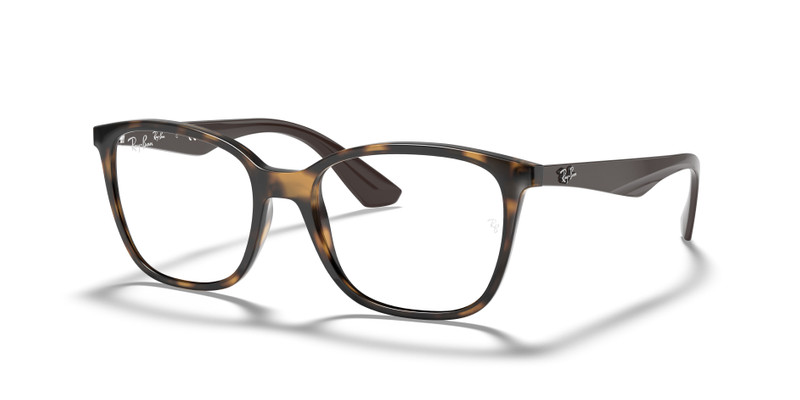 RB7066 OPTICS 1